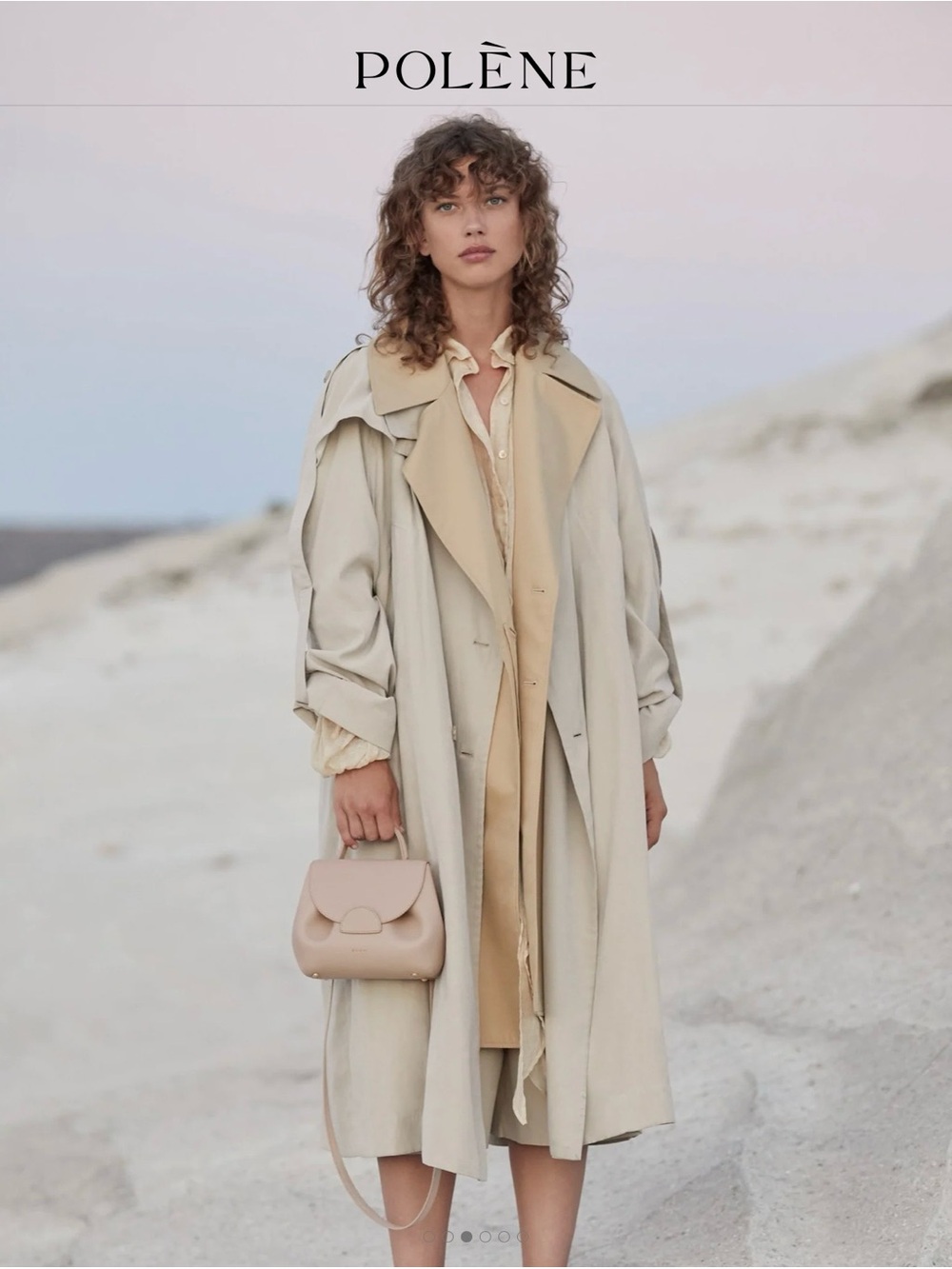 Polène Small Top-Handle Bag in Light Beige - Picture 4 of 14